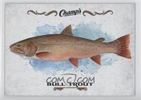 Bull Trout