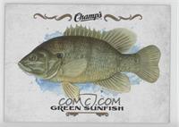 Green Sunfish