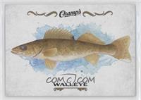 Walleye