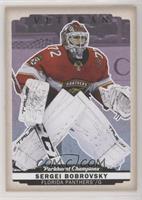 Sergei Bobrovsky