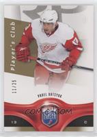 Pavel Datsyuk